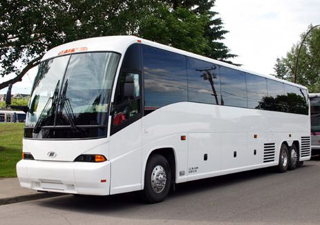 50 passenger party bus rental